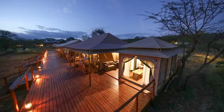 Acacia Migration Camp