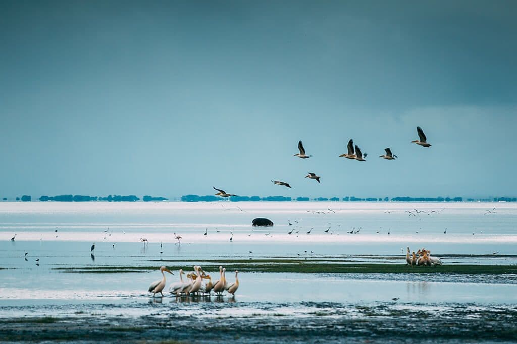 Lake Manyara National Park