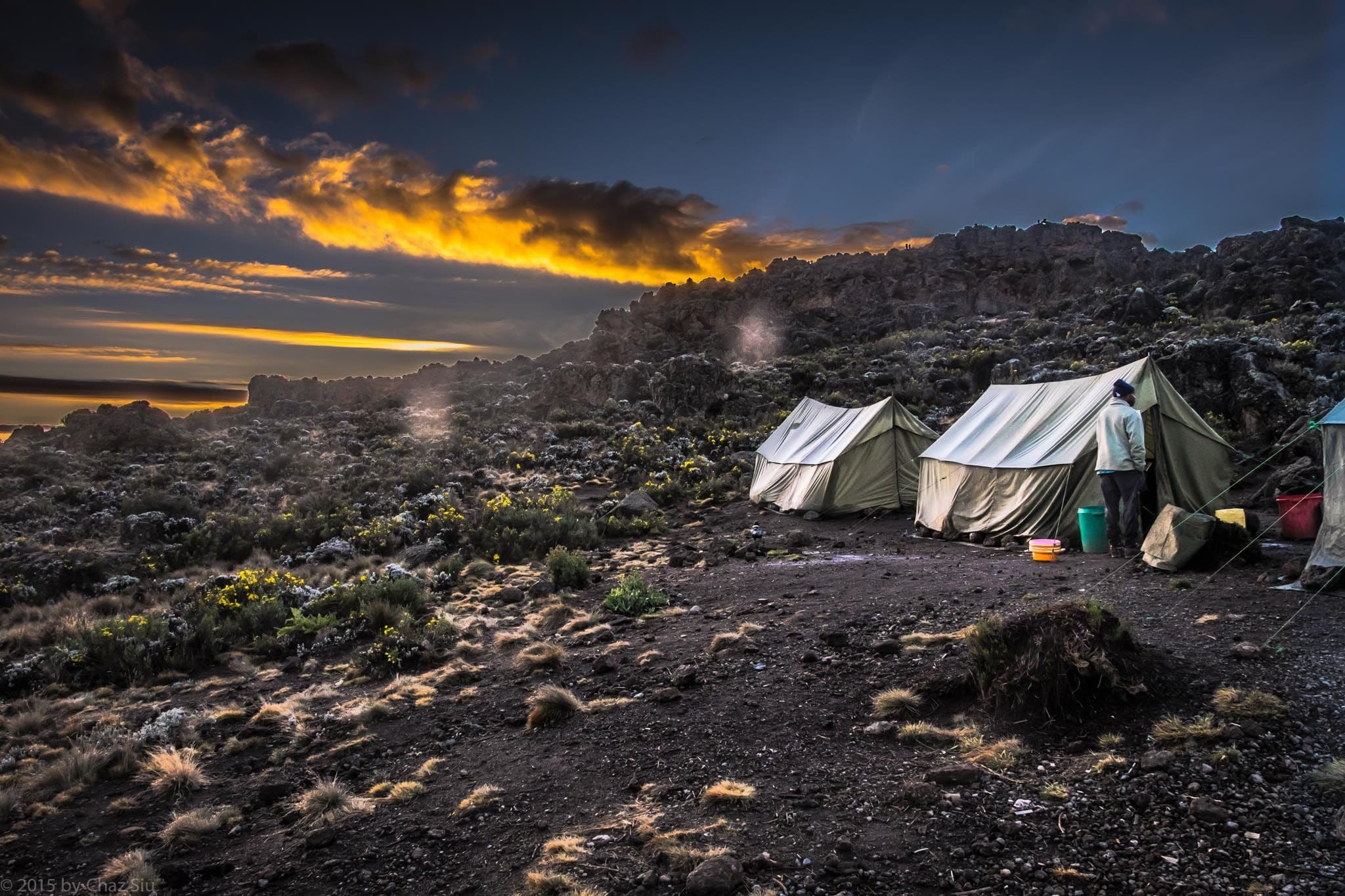 Buffalo Camp