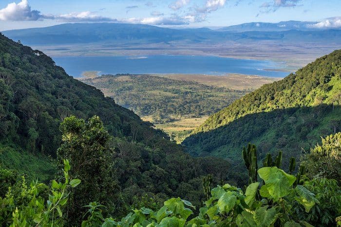 Ngorongoro Crater Game Drive