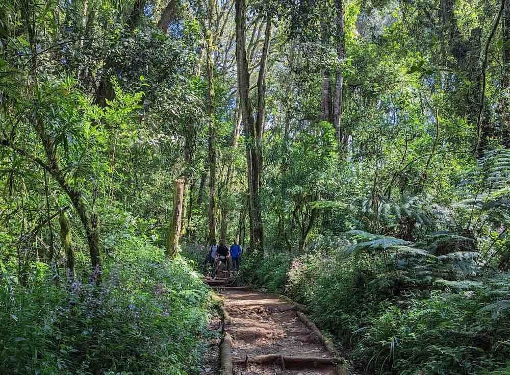 Mweka Camp tents