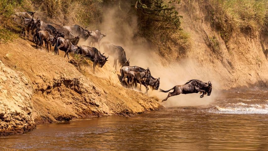 Tarangire – Serengeti National Park