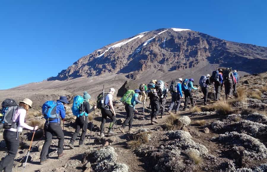 Group of trekkers hiking toward Mount Kilimanjaro