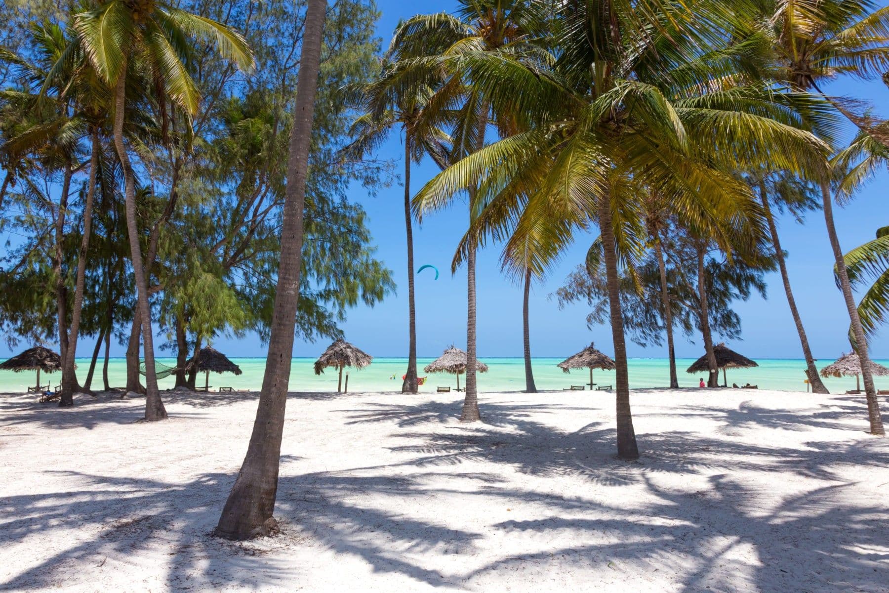 Palm trees and thatched beach umbrellas along a white sand beach with turquoise water