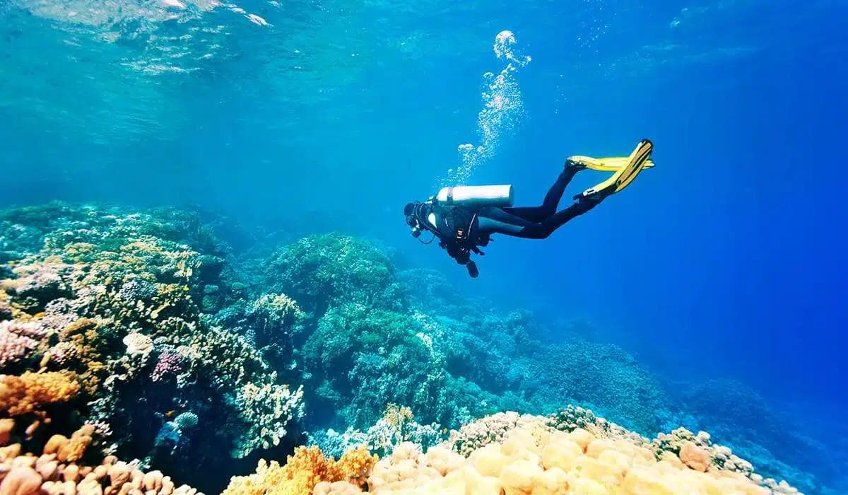 Scuba diver exploring a vibrant coral reef in the clear waters off Zanzibar