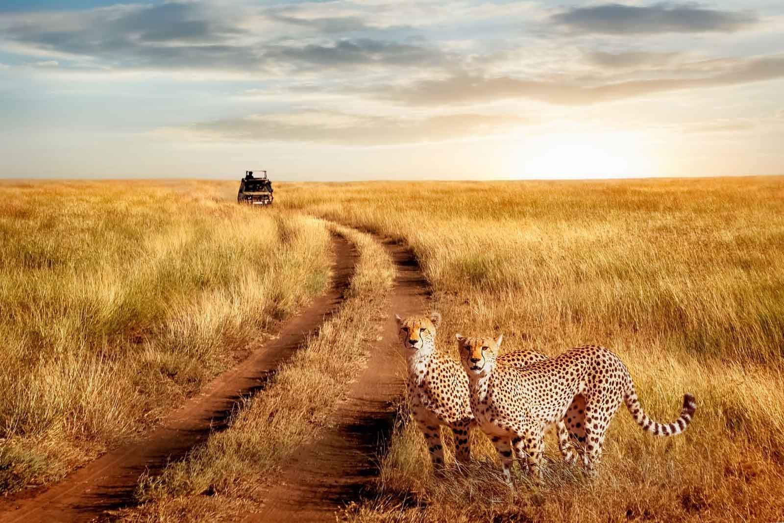 Lake Manyara National Park