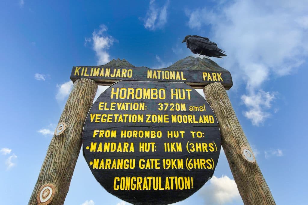 Horombo Hut cabins