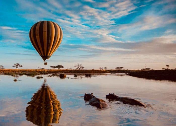 Hot air balloon safari