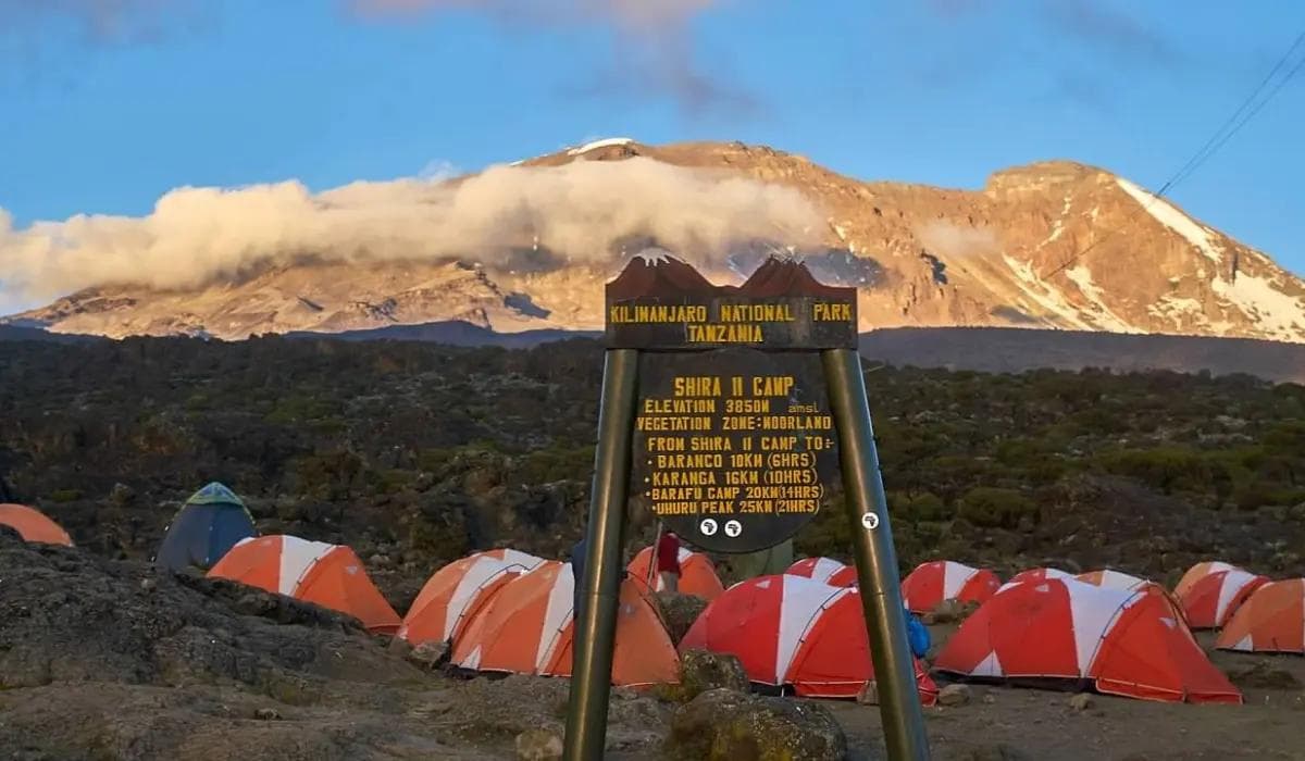 Shira 1 Camp to Shira 2 Camp
