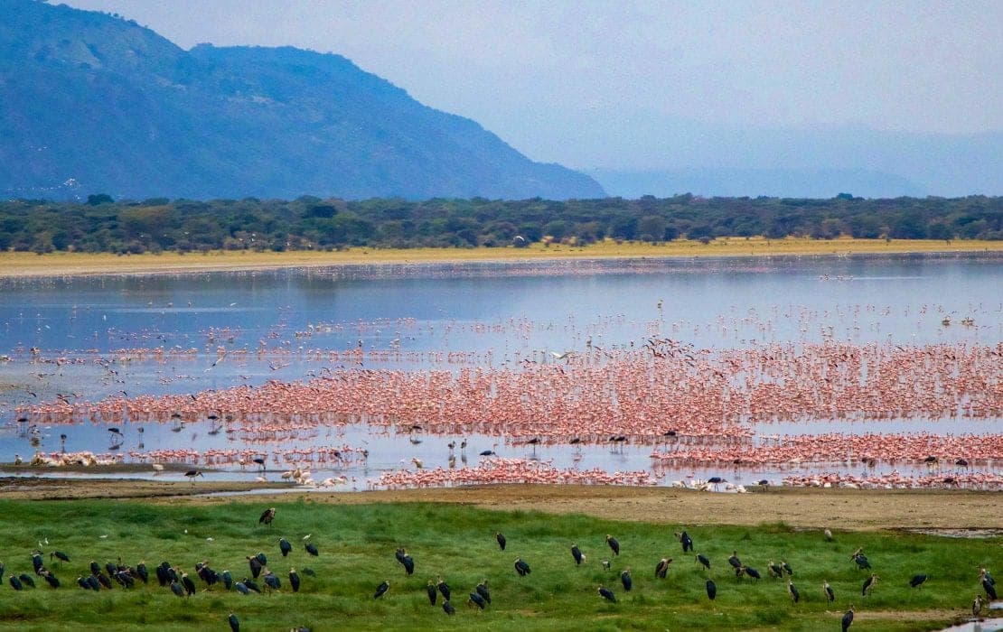 Lake Manyara National Park – Arusha